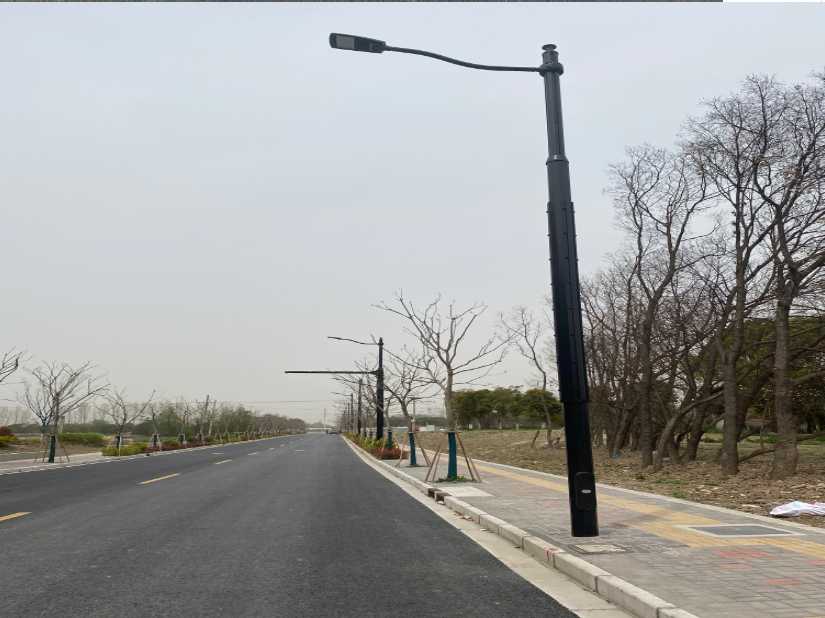 永嘉县上海综合杆 太阳能路灯工程